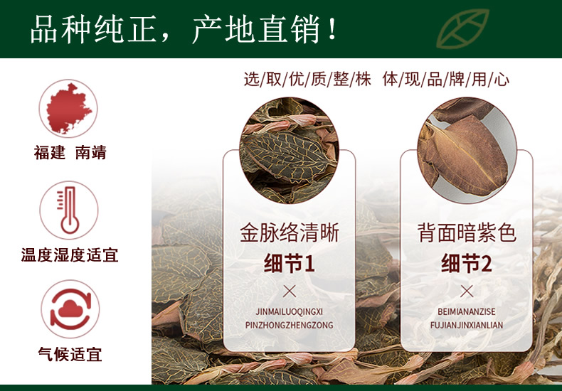 品種純正，產地直銷！