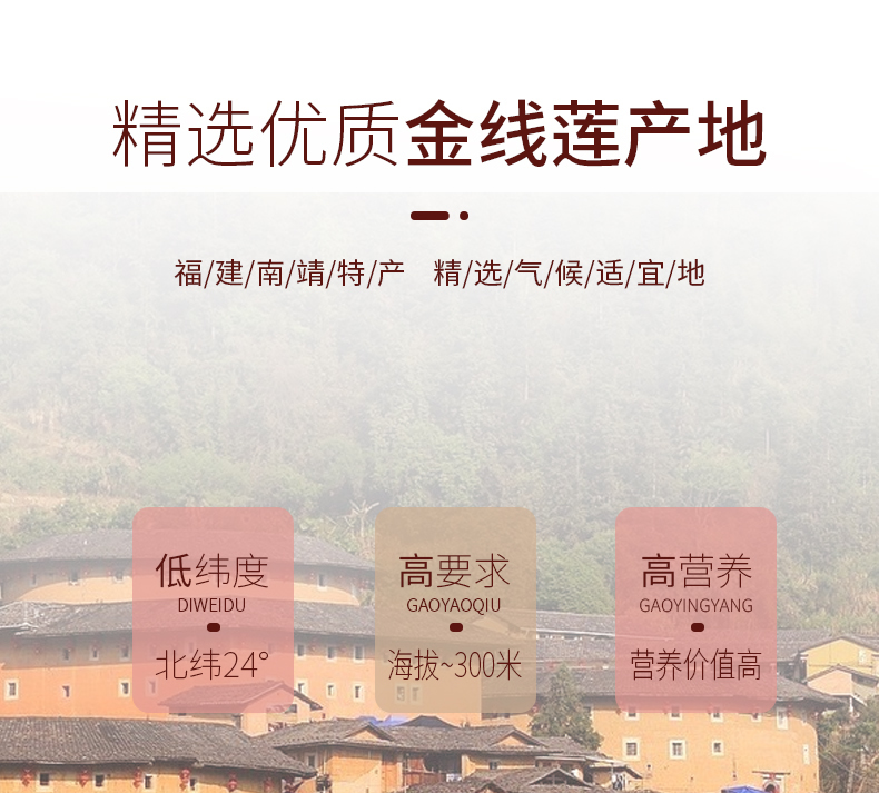 正宗林下<a href=http://m.08niu.cn/ target='_blank'>金線蓮</a>干品