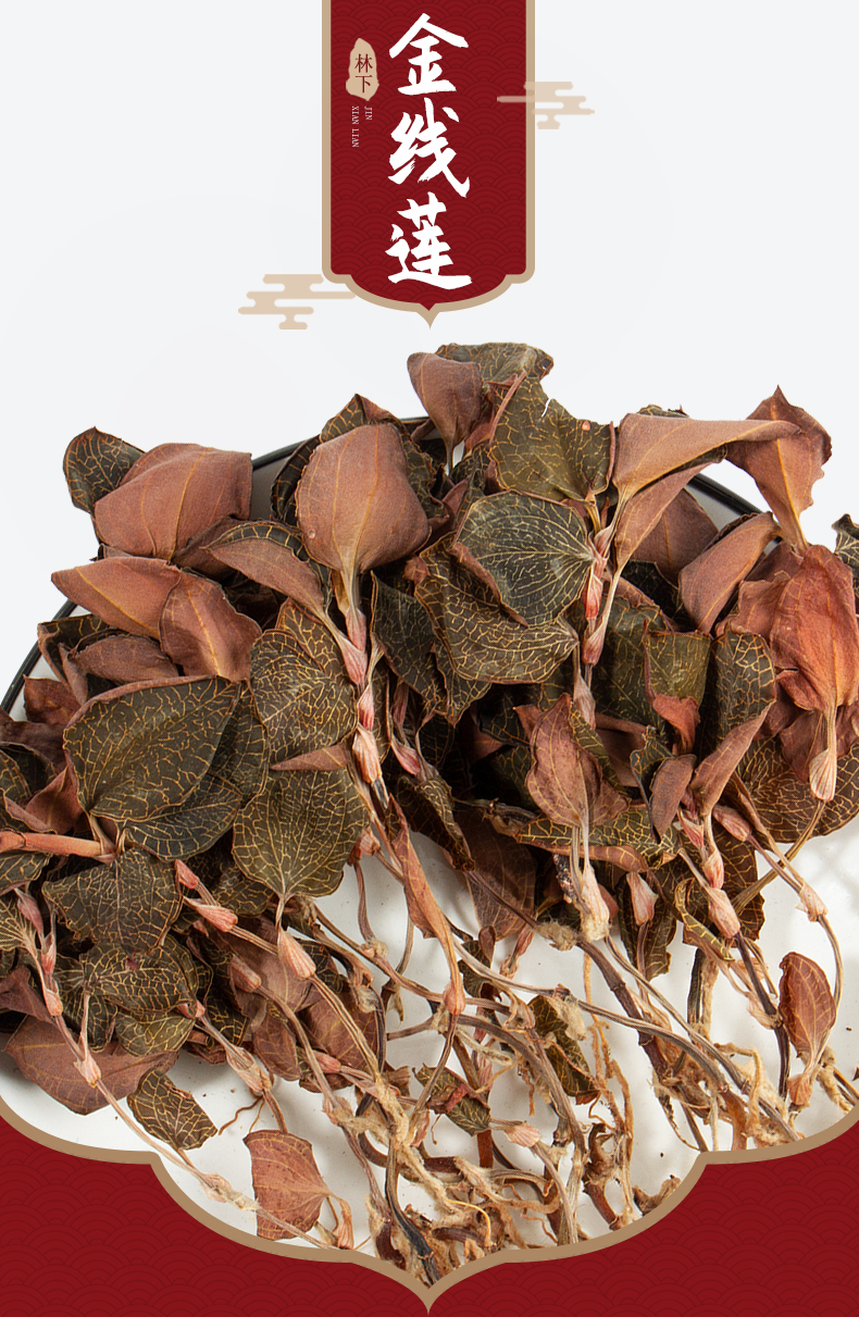 福建南靖<a href=http://m.08niu.cn/ target='_blank'>金線蓮</a>干品