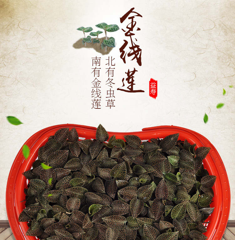 <a href=http://m.08niu.cn/ target='_blank'>金線蓮</a>鮮品 籃裝